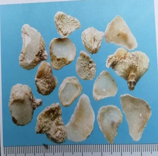 止血收敛的药有哪些,收敛止血中成药有哪些