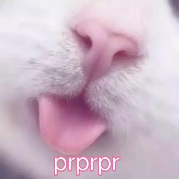 阿梨团购优惠,阿梨正品折扣