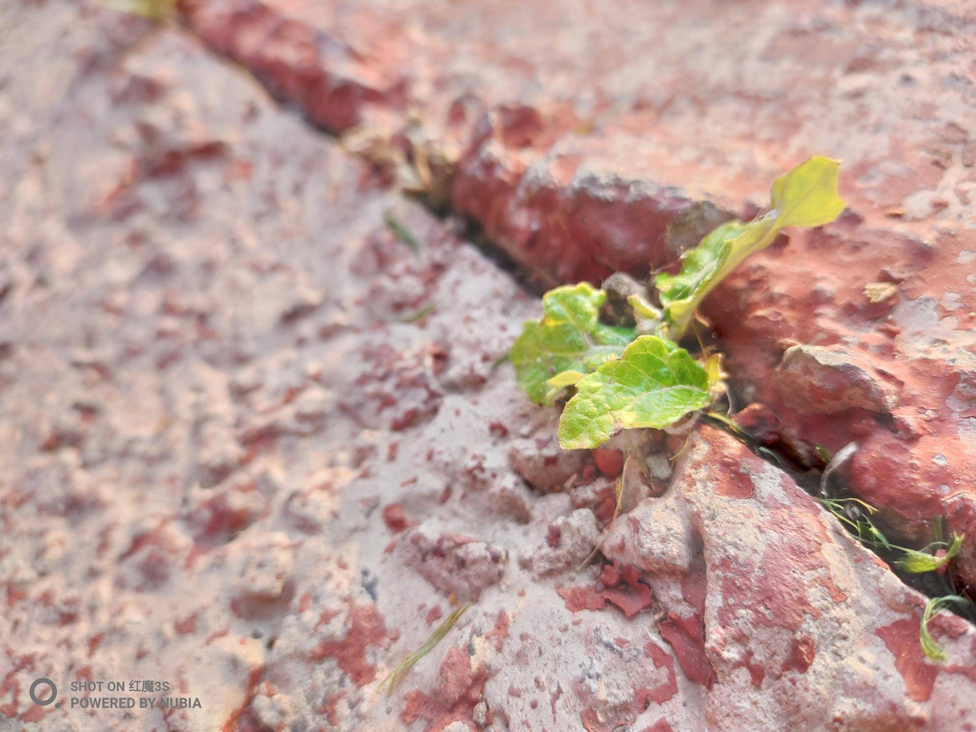 红魔3s在2020年值不值买,红魔3s全新机最低售价