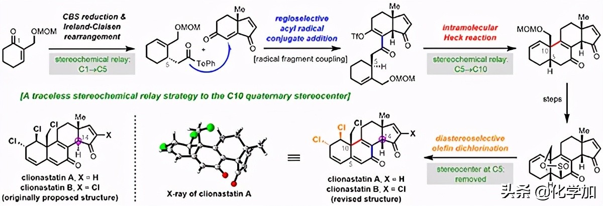 上海有机化学研究所实验室,上海有机所和成都有机所