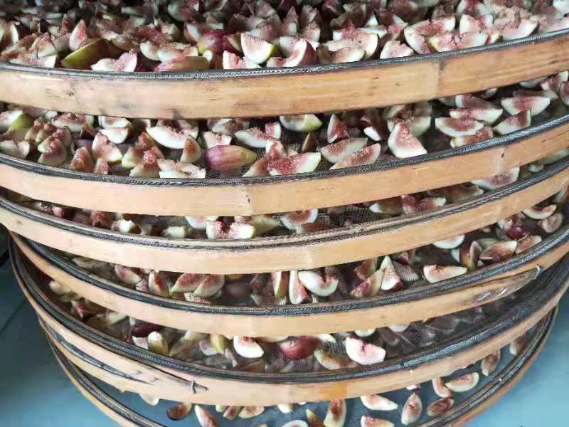 无花果育苗剪枝工艺流程,无花果的整枝技术