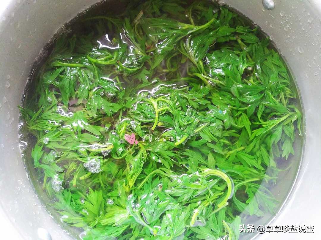 野外的艾草怎样处理才能有药效,新鲜艾草怎么保存