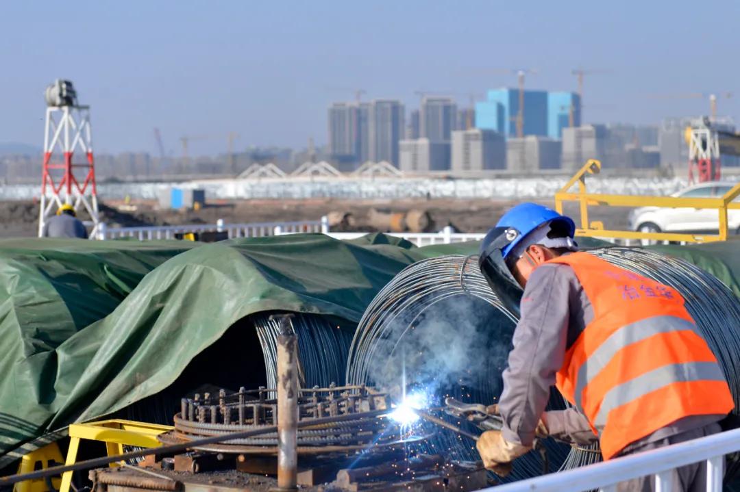 南农大江北新校区一期进展,南农大江北新校区最新进展