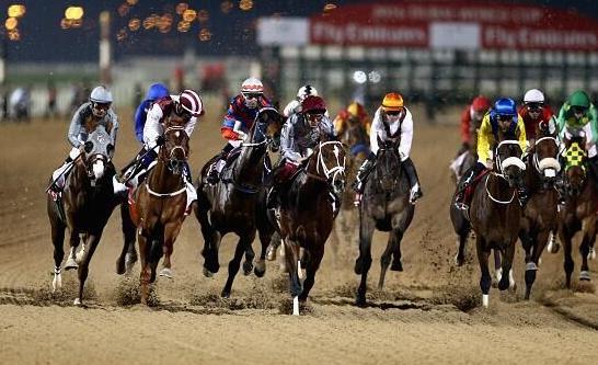 迪拜酋长和世界首富,迪拜酋长身家220亿美元