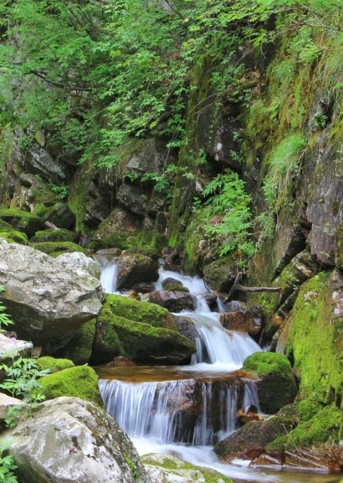 如果在洛南遇见你