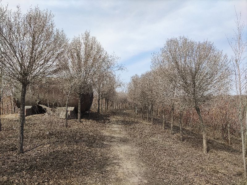 乌鲁木齐周边野营游玩好去处,新疆乌鲁木齐户外游玩