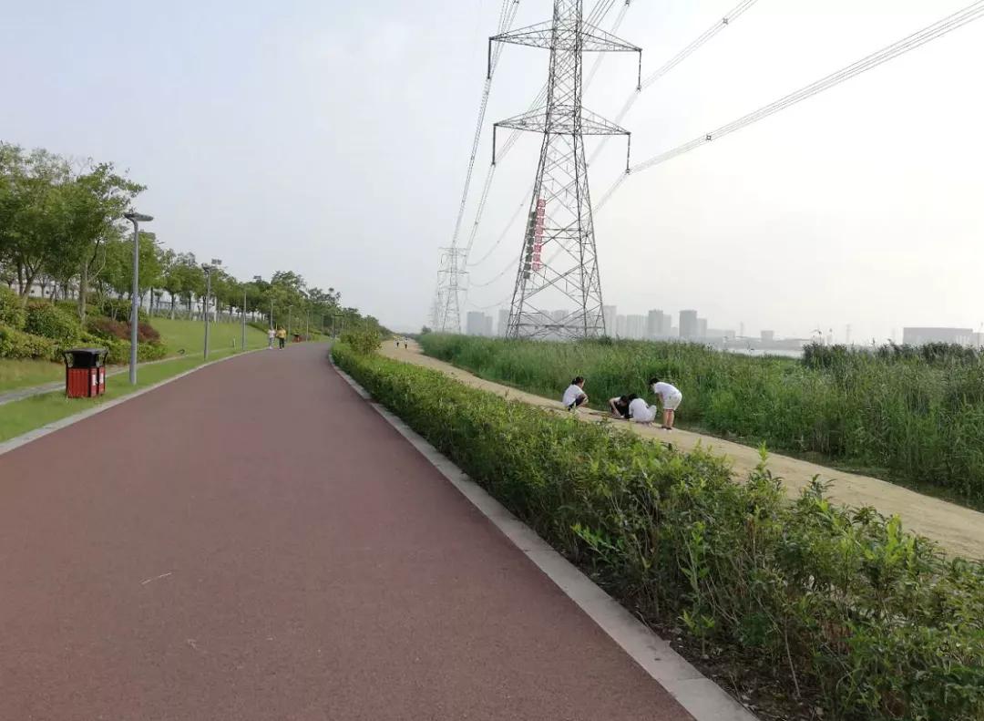 苏州各个板块区域未来潜力,苏州下一个房地产板块