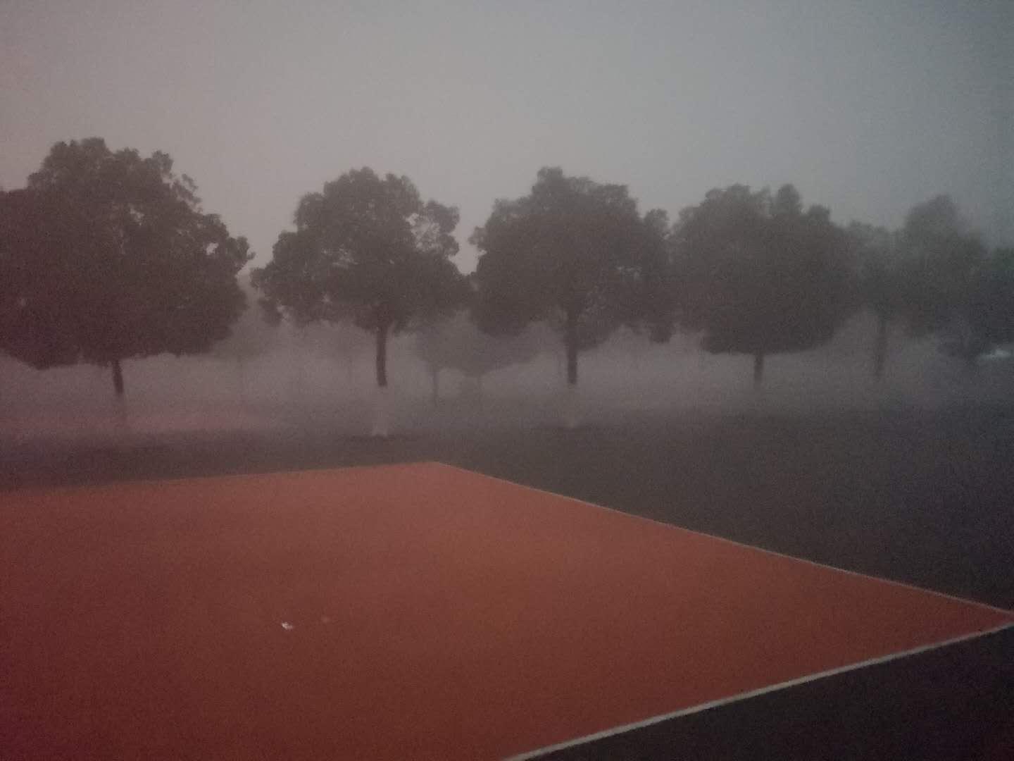 记录一个北大学姐的高中感悟：《西西弗·聂还愿记》