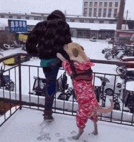 搞笑gif开心一刻单身也挺好,搞笑gif开心视频