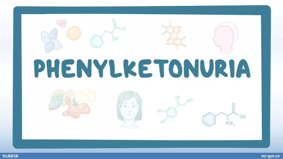 热心肠先生益生菌视频大全,热心肠先生全集