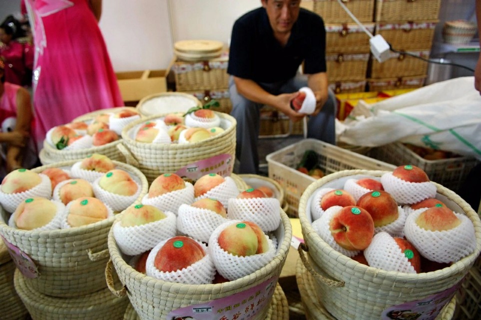 2023年荣获国家地理标志的农产品,农产品区域公用品牌商标