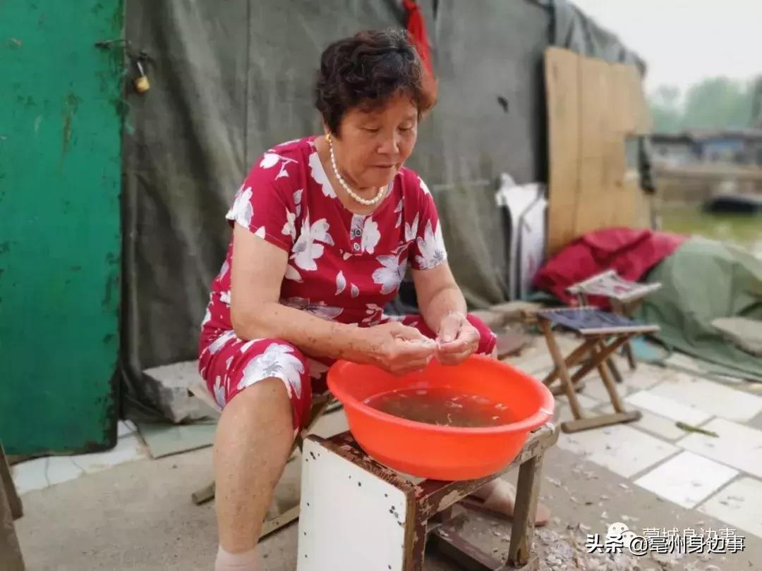 蒙城:一船一家一辈子!他们吃住都在船上