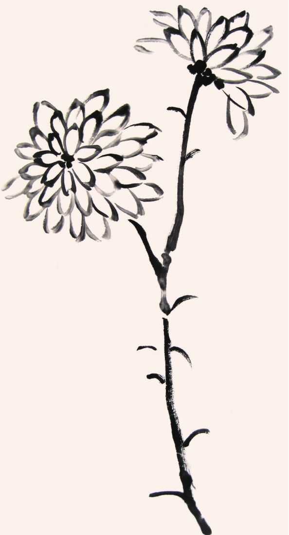 国画菊花的叶子画法步骤入门,梅兰竹菊国画菊花初学者怎么用笔