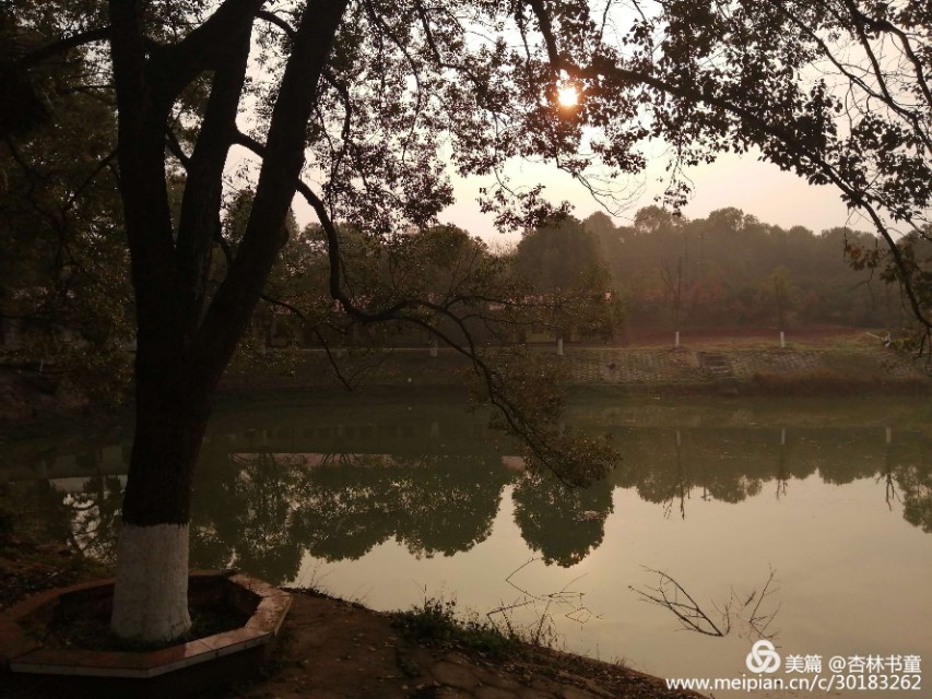 桂林市龙虎山庄,歌乐山龙虎山庄