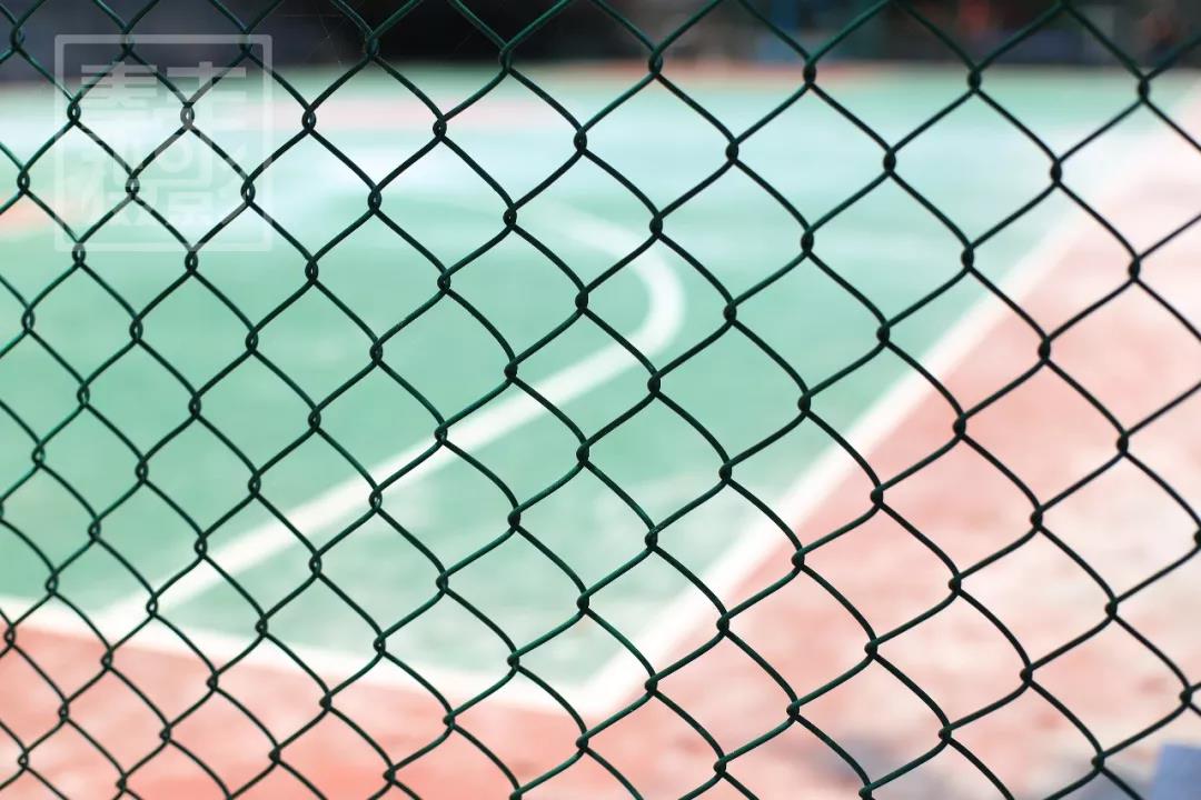 像素到底跟什么有关系,什么是像素像素有什么用