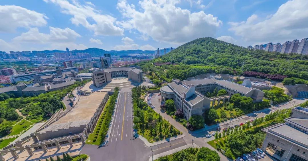 辽宁省民办大学（二）大连东软信息学院