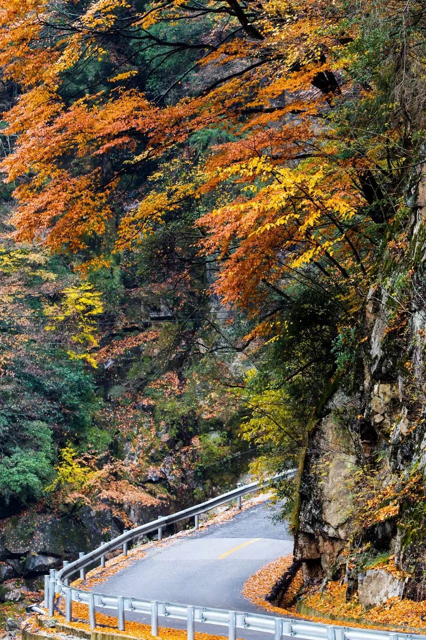 别在年轻的时候去四川！因为你的余生，都将沉醉在她的魅力里