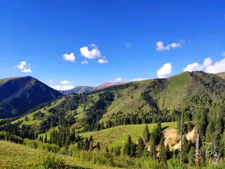 你能想象到吗,藏族支教的真实生活