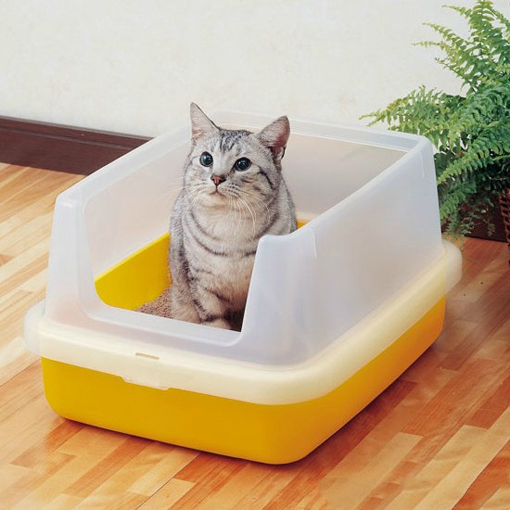 宠物猫便便,宠物猫屁股臭怎么办