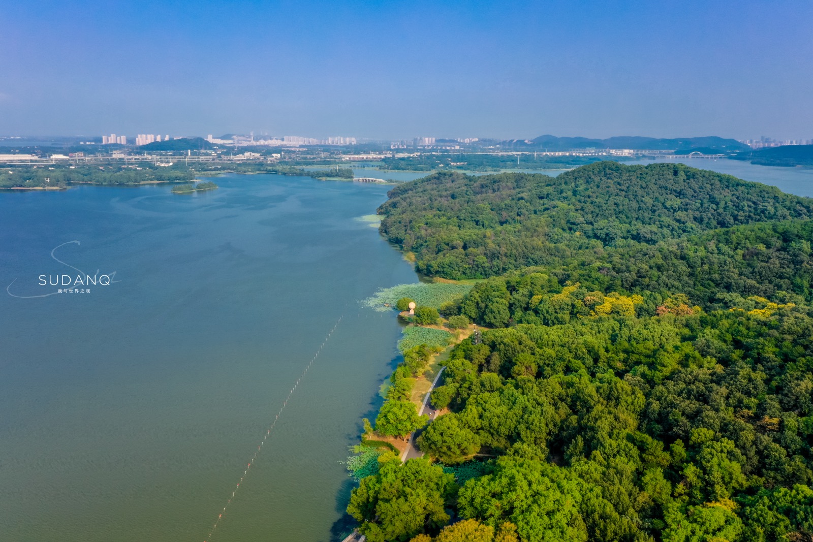 国内3大ufo目击事件,10大ufo事件