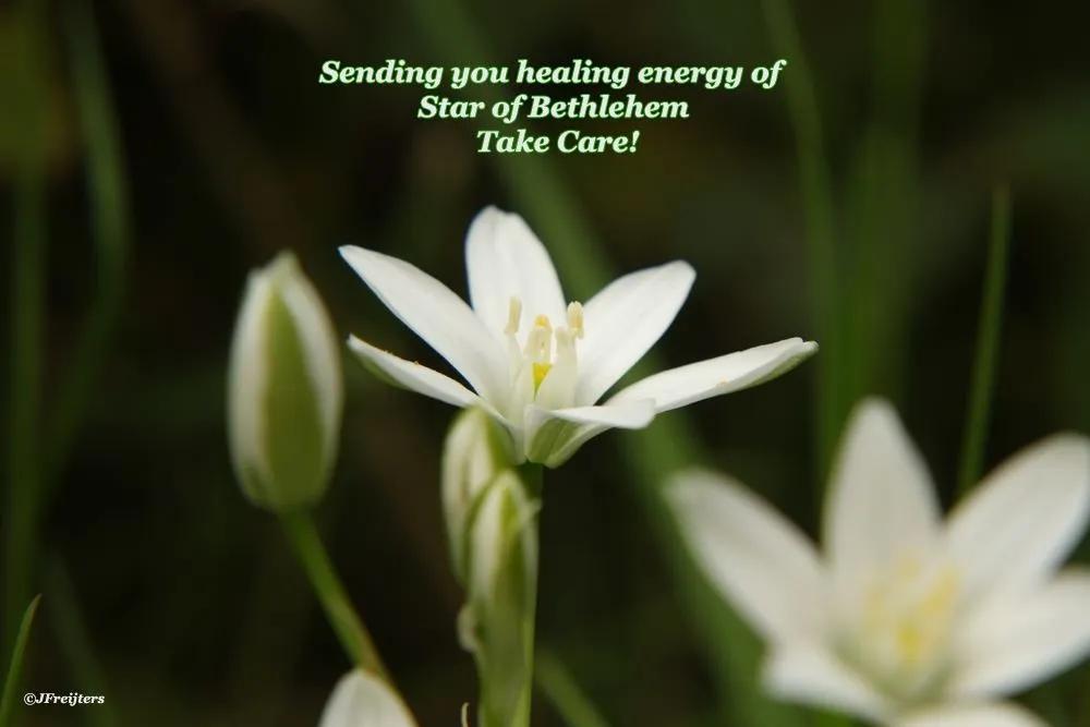 512地震医护急救图片,512地震后心理疏导