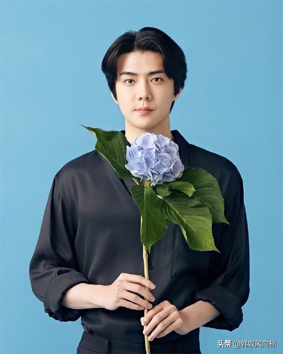 烟嗓赖冠霖王嘉尔朴灿烈最火,烟桑合集王嘉尔赖冠霖朴灿烈