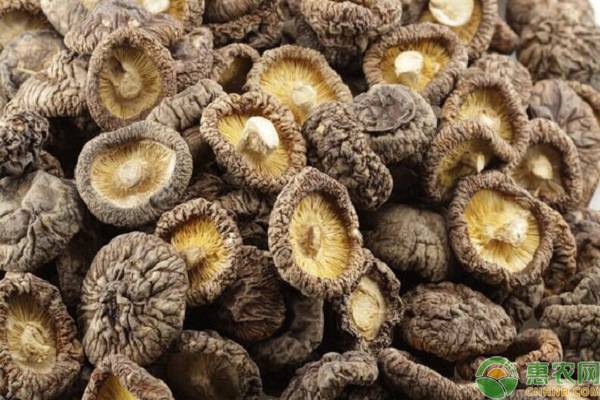 干香菇价格行情近5天,干香菇行情怎么查