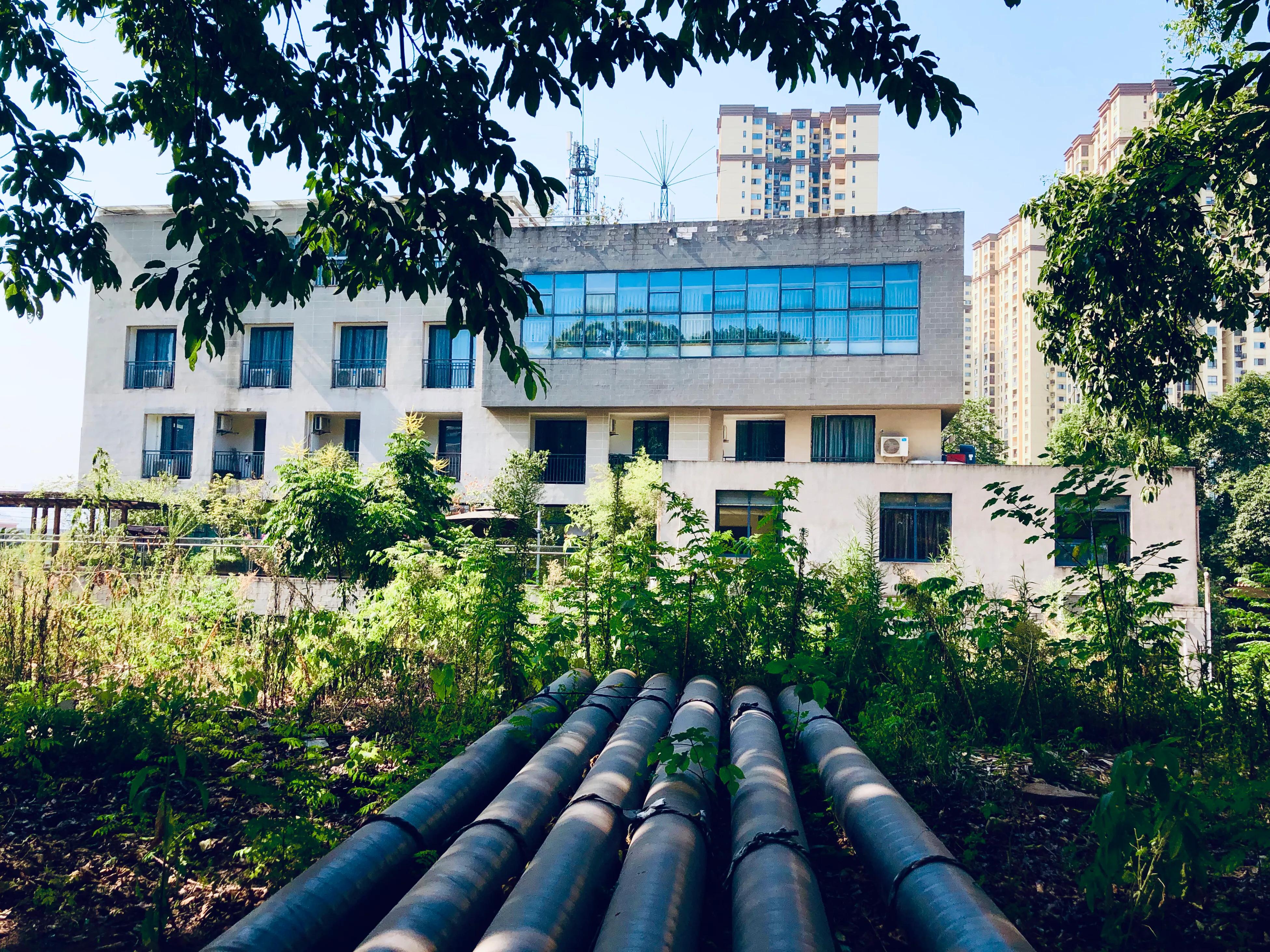 婕閲嶅簡瑙嗛,婕閲嶅簡