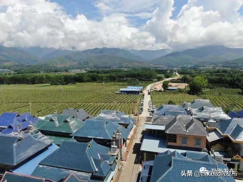 云南省现代化边境小康村,勐海乡村振兴