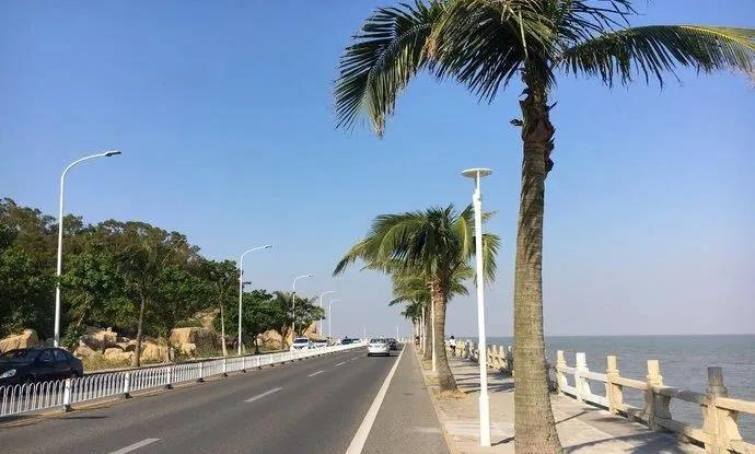 珠海为啥宜居,珠海被评为世界宜居之城