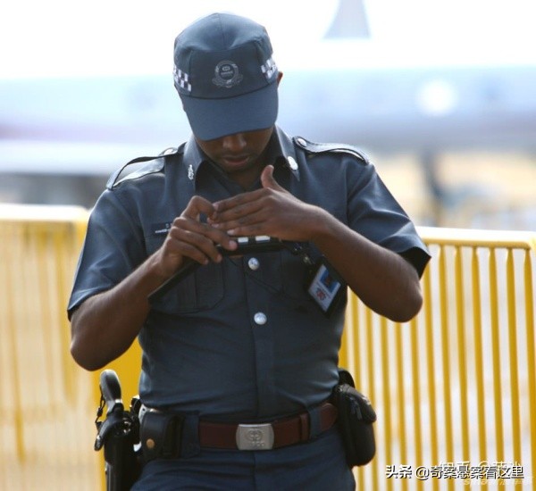 狮城奇葩事件视频,狮城奇案之罪案现场2