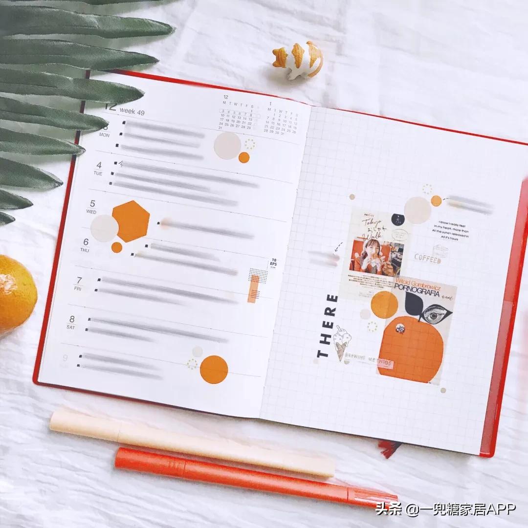 绉嶈崏鐢熸椿鏂瑰紡,绉嶈崏缁囧竷