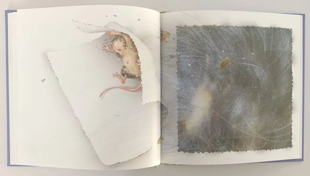 无字绘本老鼠,绘本懒惰小老鼠是怎么介绍的