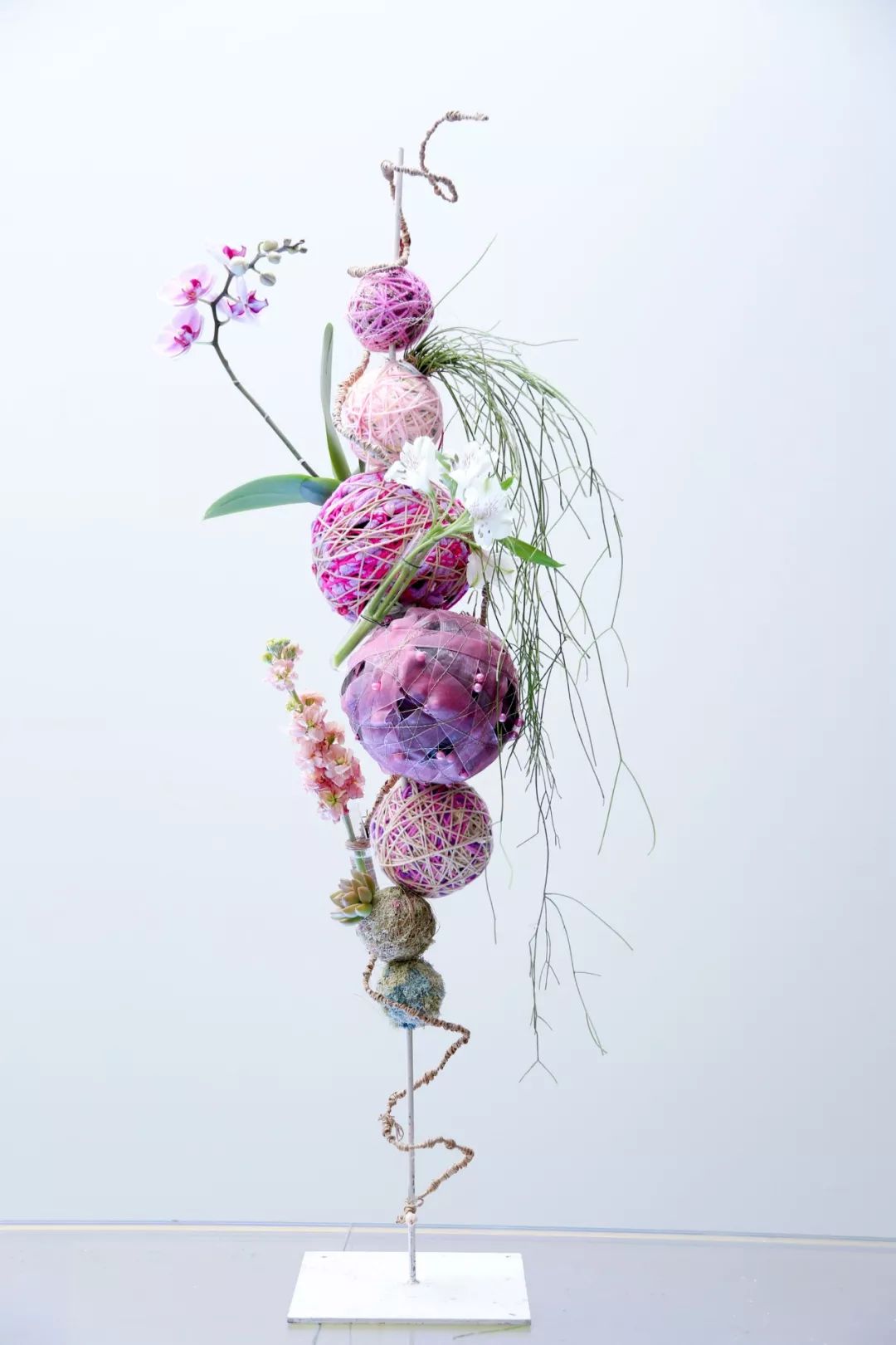 6天，教你用色彩“粉”碎所有不可能