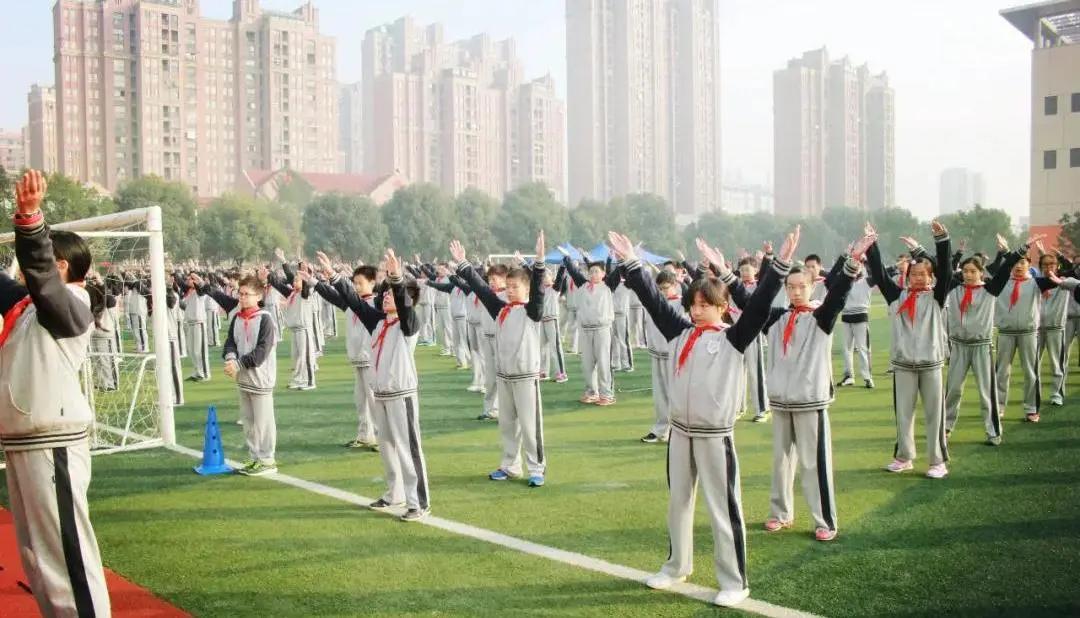 西棠观樾有规划初中吗,西棠观樾景新小学