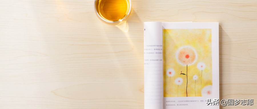 多少分能上本科大学？全国最低本科录取分数线是多少？本文有答案