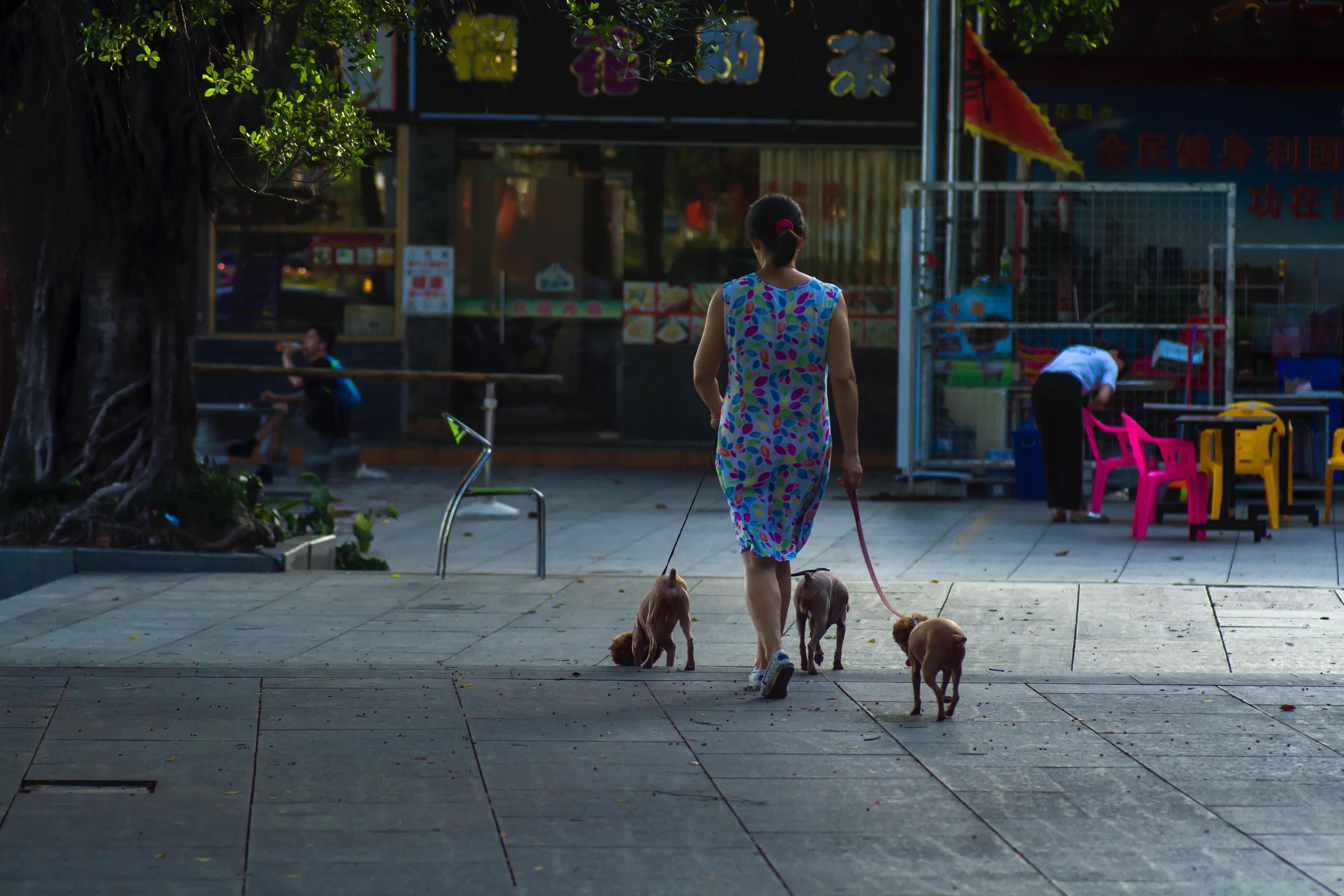 莱卡跟尼康怎么选,徕卡90mmf2.8