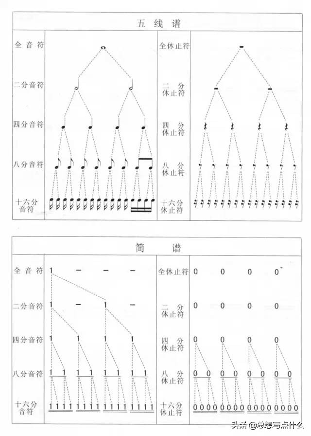 电子萨克斯教学入门零基础乐理,萨克斯学习入门前的乐器