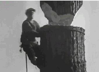 身家过亿进此吧，半月之后睡街头