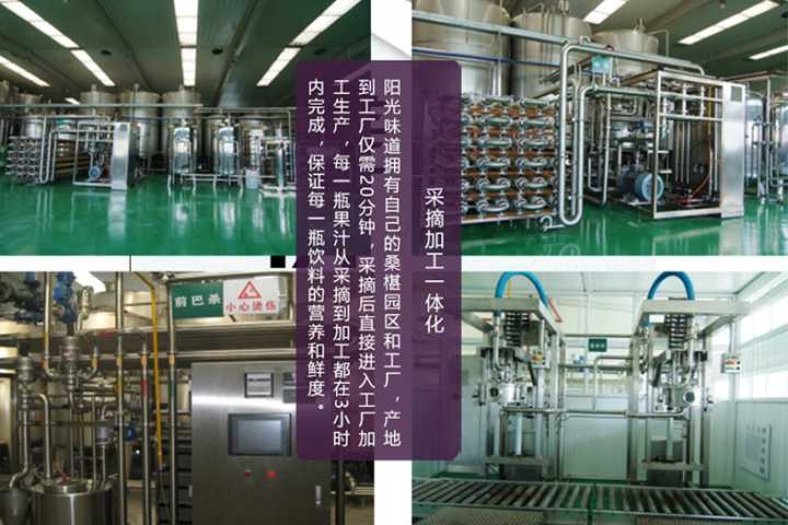 正宗的桑葚汁,桑葚和牛奶打成桑葚汁好喝吗