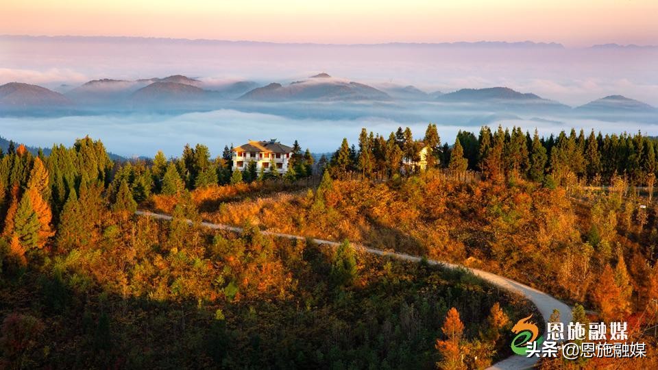 李伦英：用镜头记录家乡的美丽