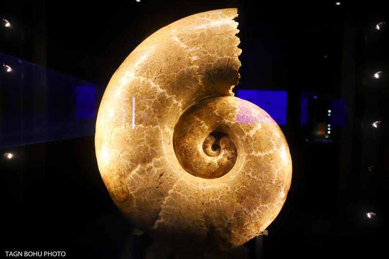 衢州常山春日旅游攻略,常山小众景点