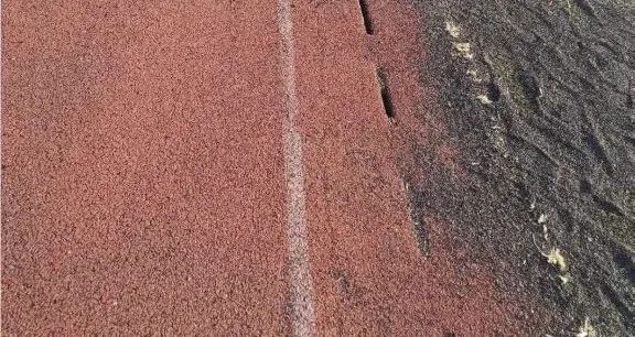 免填充人造草坪的前景,人造草坪威腾