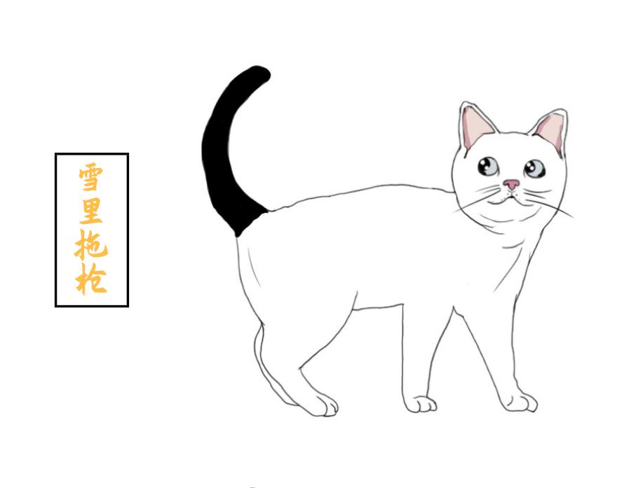 你养的猫在古代都叫什么名字,想知道你家猫在古代是什么样子吗