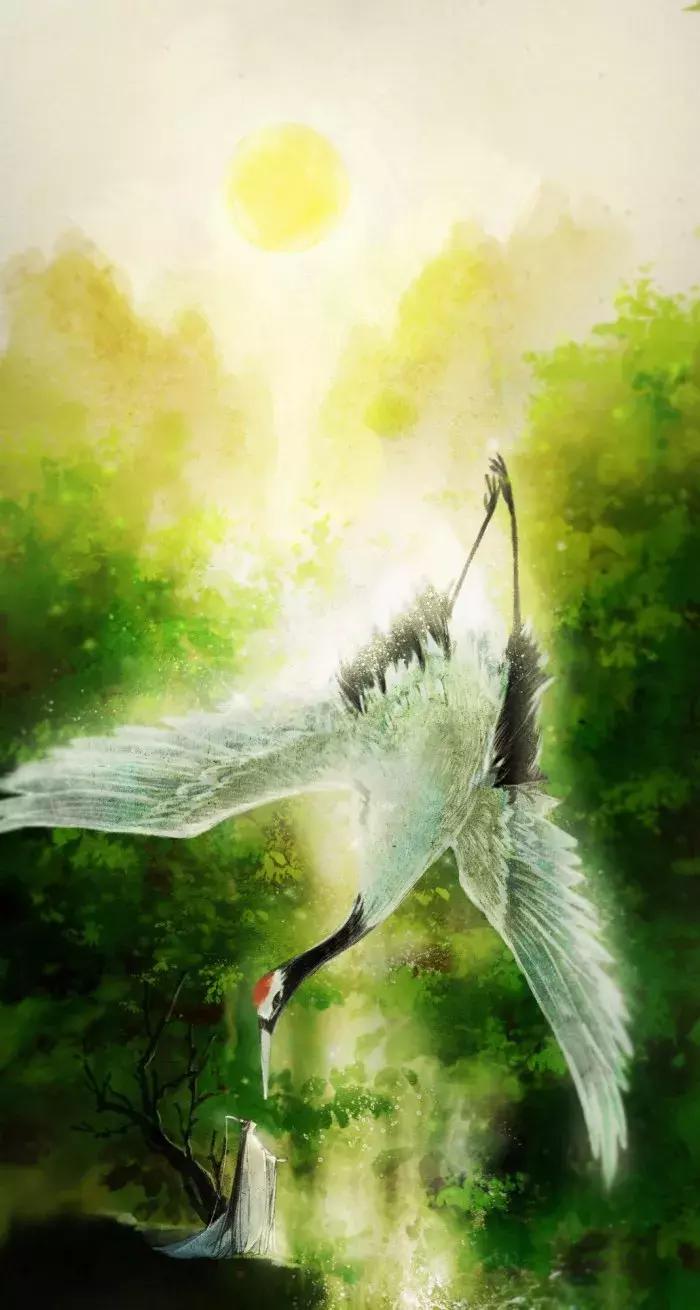 一年当中几月出生比较有水,2022年虎宝宝几月出生最好最准