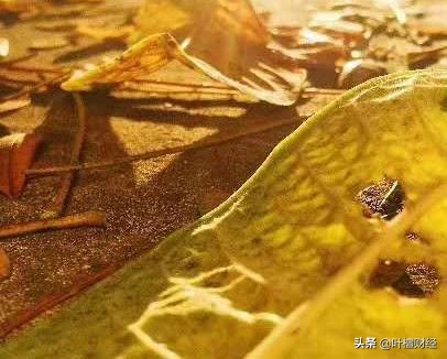 在千钧一发时刻挽救了一条生命,在危急的时刻猛然想出办法成语