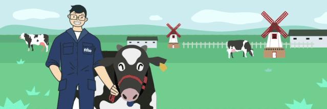 荷兰国花郁金香风车,荷兰风车和郁金香