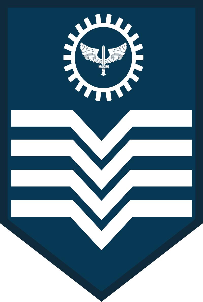 巴西军队标志,巴西海军军衔