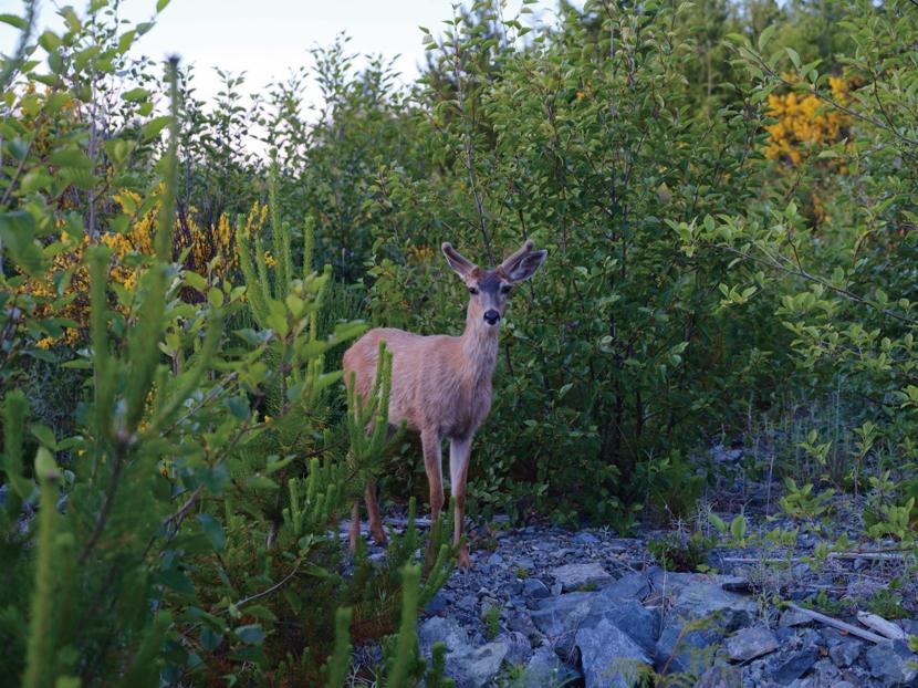 旅居生活攻略,旅居生活最适合的城市