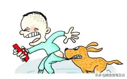 孩子被狗咬伤了该怎么办,孩子被狗咬伤要怎么办